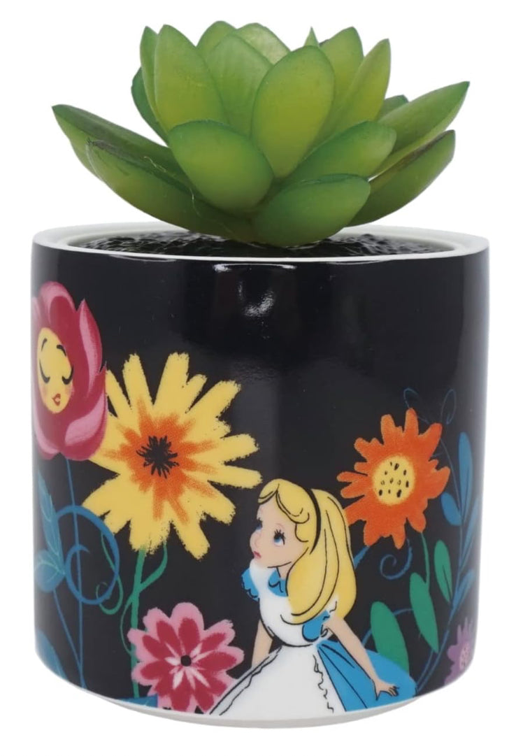 Disney Alice in Wonderland plant pot