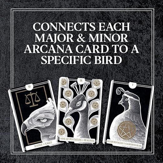 The avian tarot