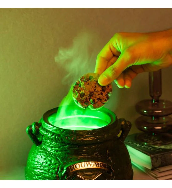 Harry Potter Cauldron Cookie Jar
