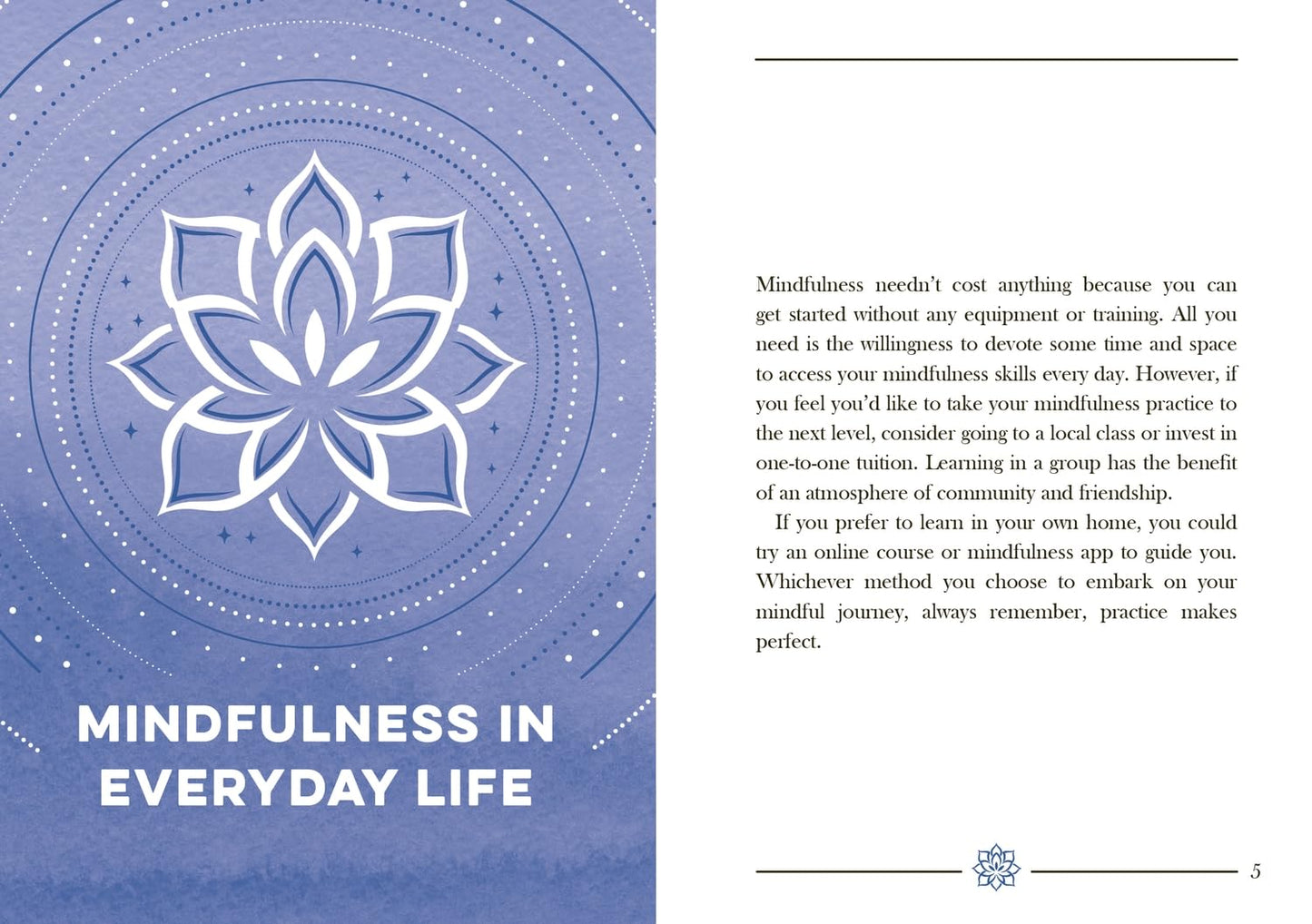 The Little Book Of Mindfulness Book