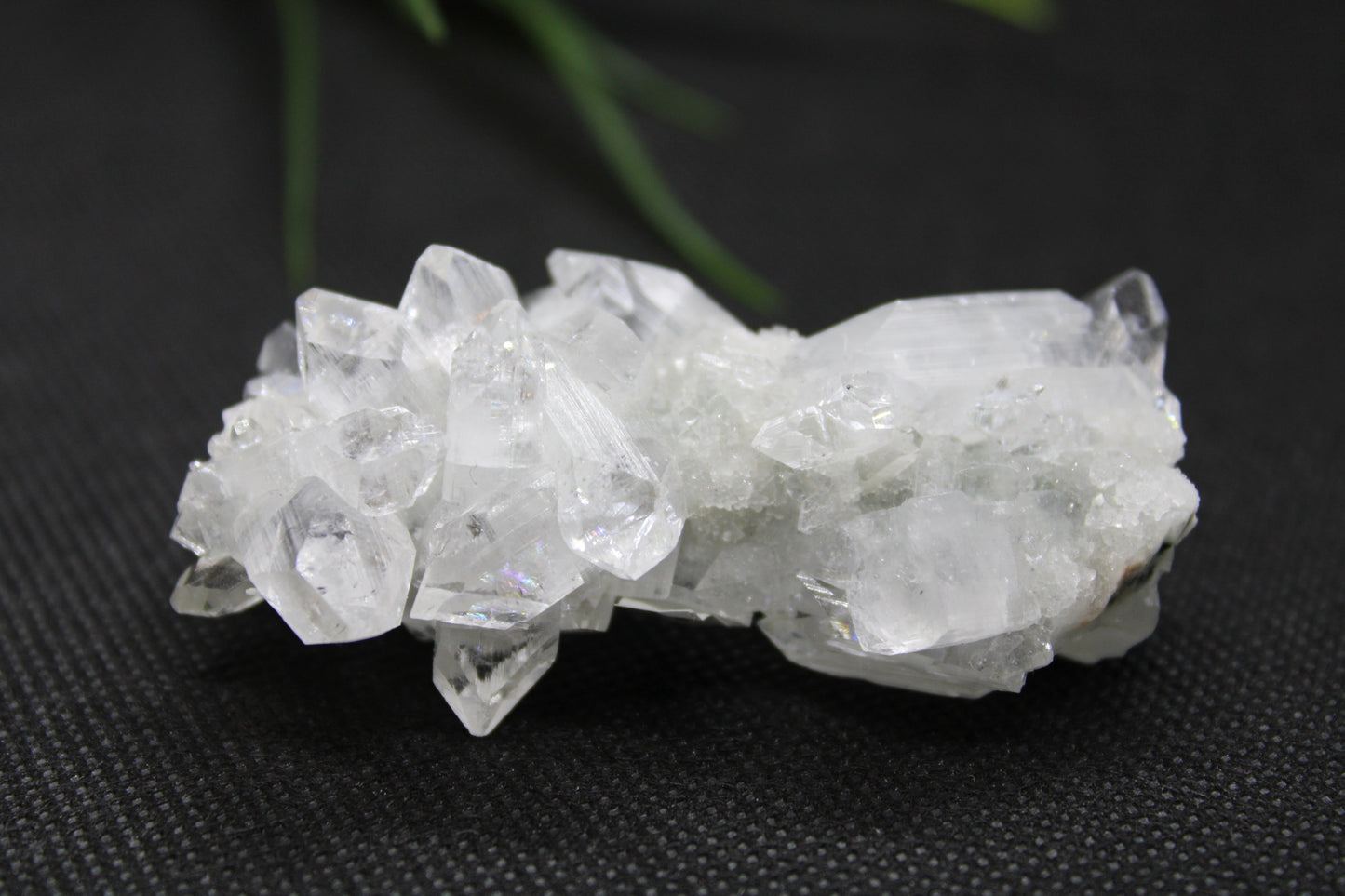 Apophyllite Cluster