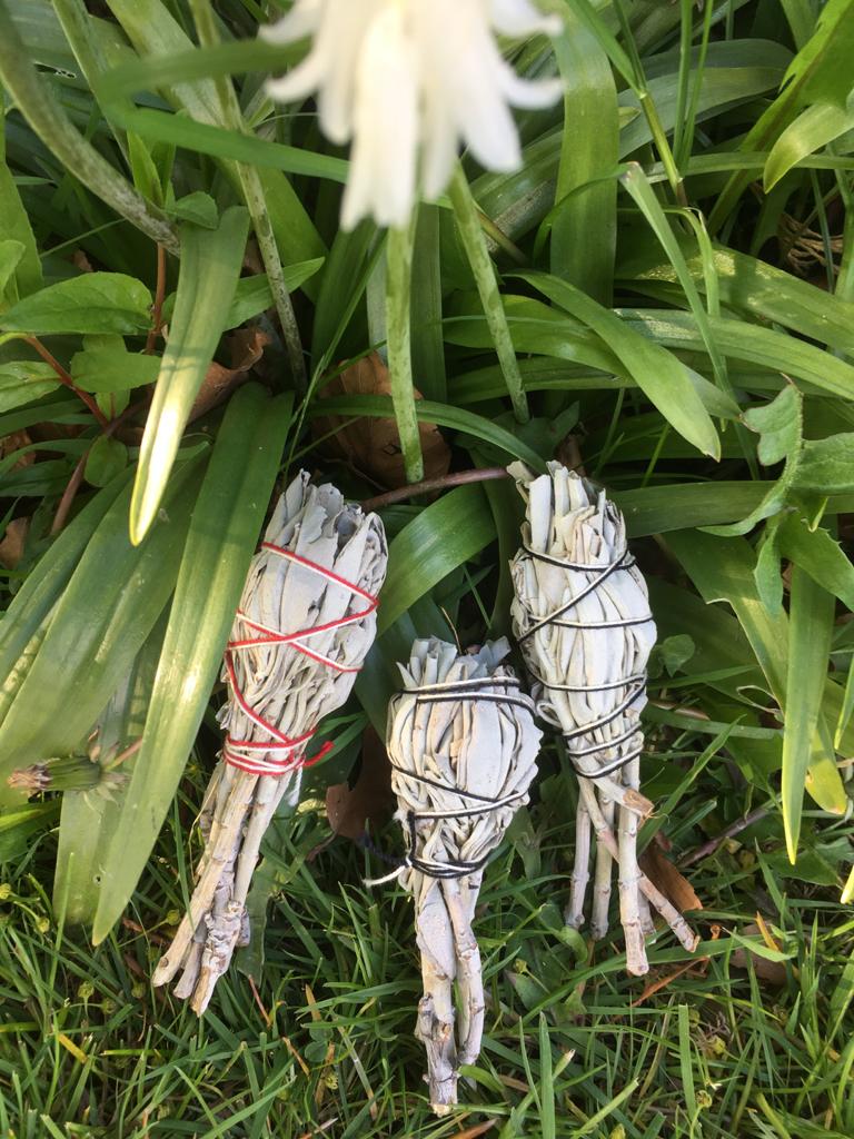 Small White Sage Smudge Sticks with Stem