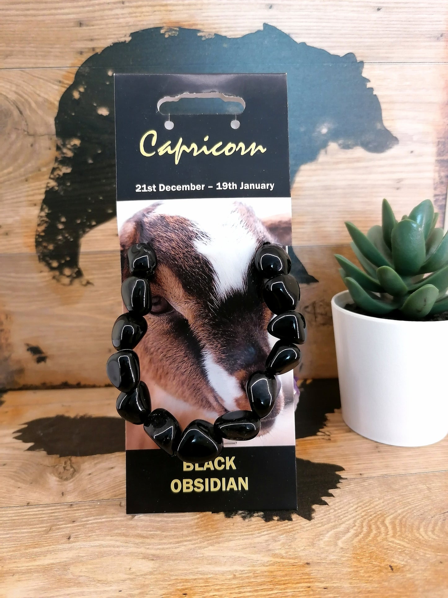 Zodiac Capricorn Gemstone Necklace/Bracelet