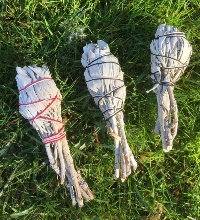 Small White Sage Smudge Sticks with Stem