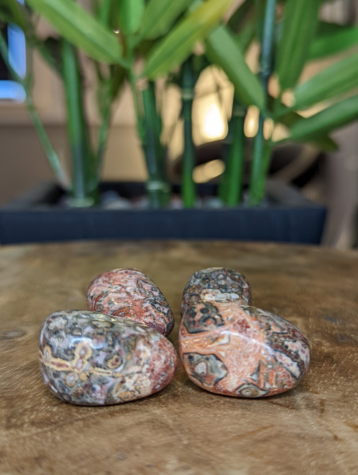 leopard Skin Jasper
