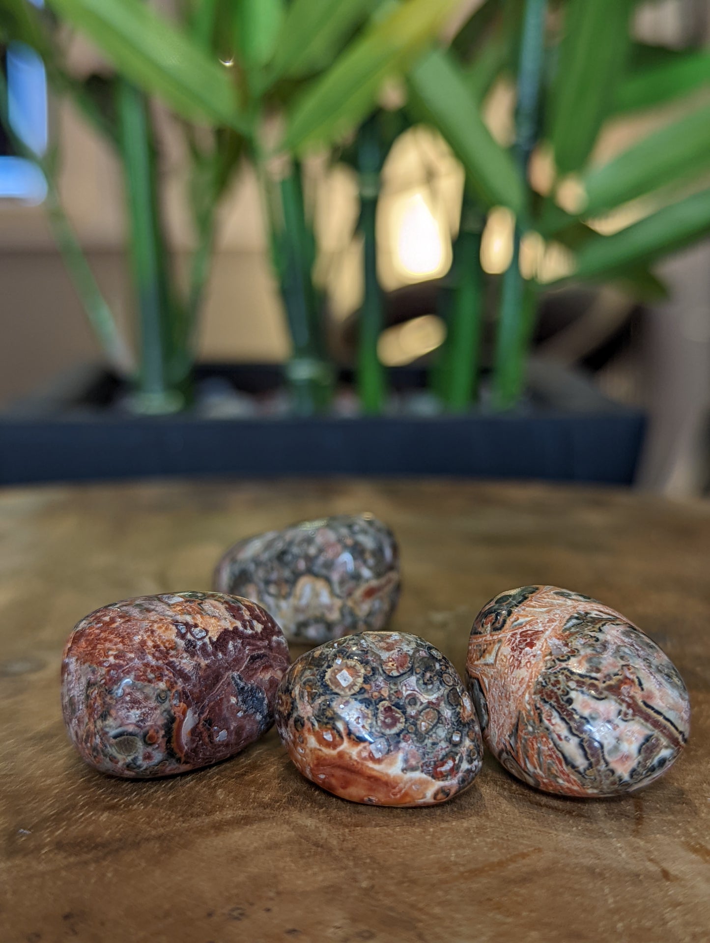 leopard Skin Jasper
