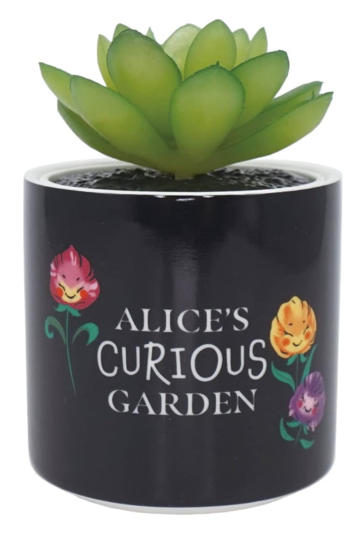 Disney Alice in Wonderland plant pot