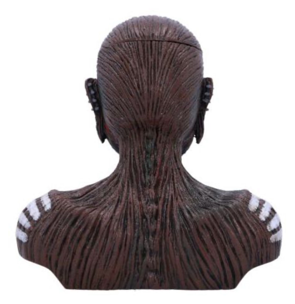 Iron Maiden The Book of Souls bust box