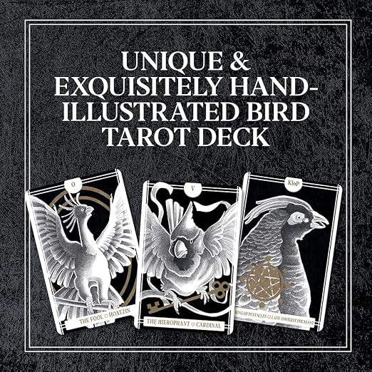 The avian tarot