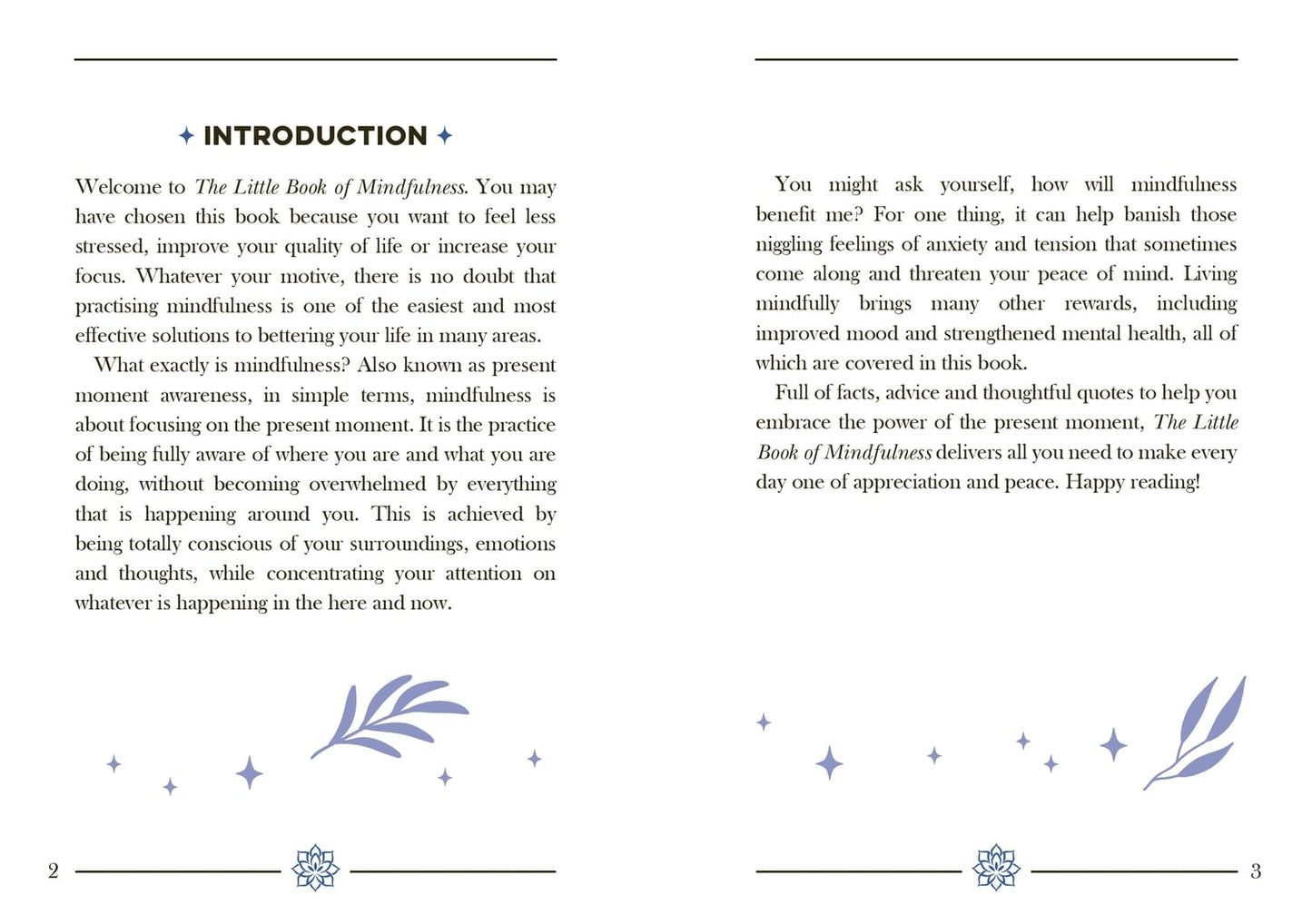 The Little Book Of Mindfulness Book