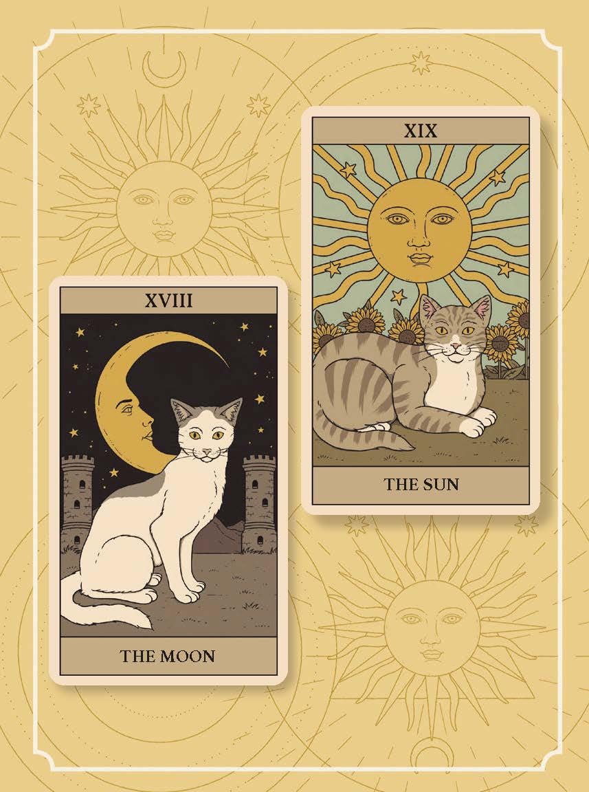 Cats Rule The Earth Tarot