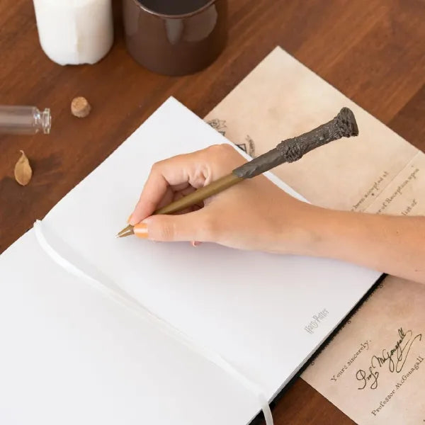 Harry Potter Light Up Notebook