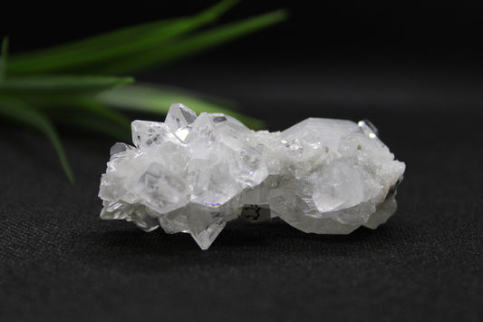 Apophyllite Cluster