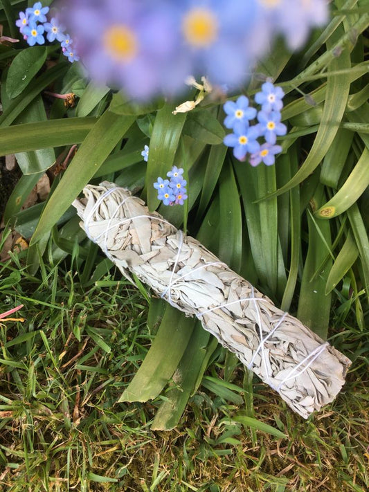 Medium White Sage Smudge Sticks