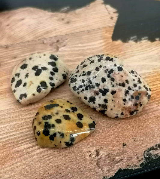 Dalmatian Tumble Stone